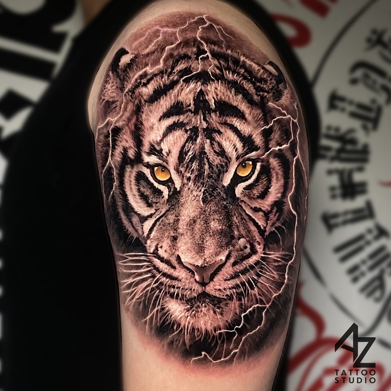 Tiger in realistic
