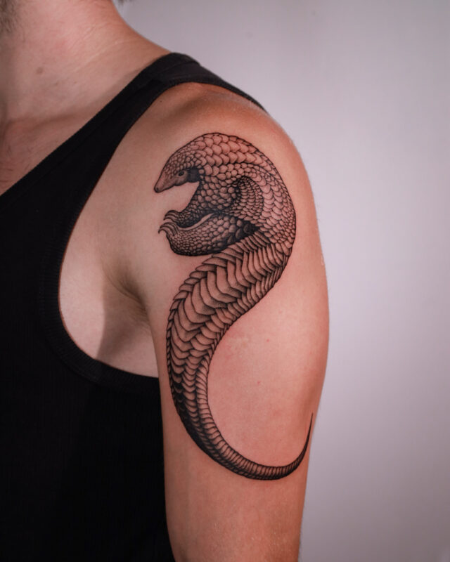 Blackwork pangolin tattoo on the shoulder and upper arm by Azone Tattoo Studio in Hanoi