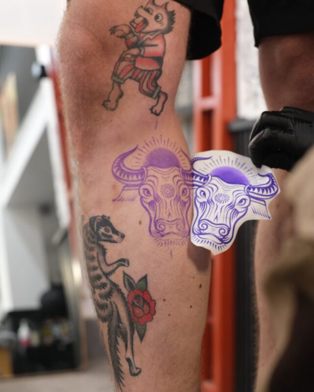 Vietnamese buffalo tattoo stencil applied before tattooing